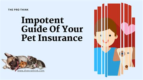 pet insurance lifetime cover explained.